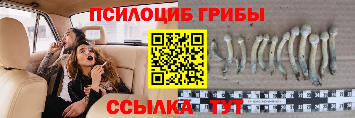 Псилоцибиновые грибы MAGIC MUSHROOMS  Вход с VPN  Галлюциногенные грибы Psilocybine cubensis  Лысьва 